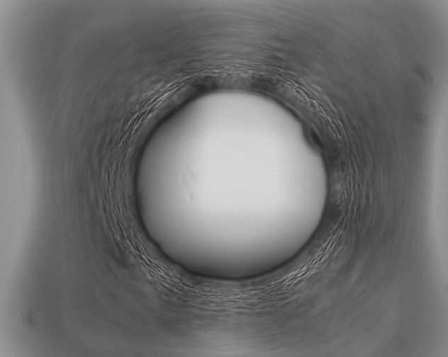 X0000113221057200909100917