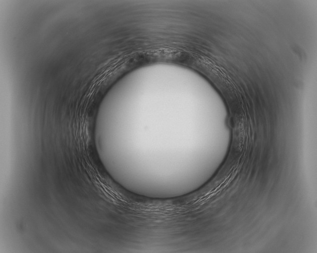 X0000113221058200909100917