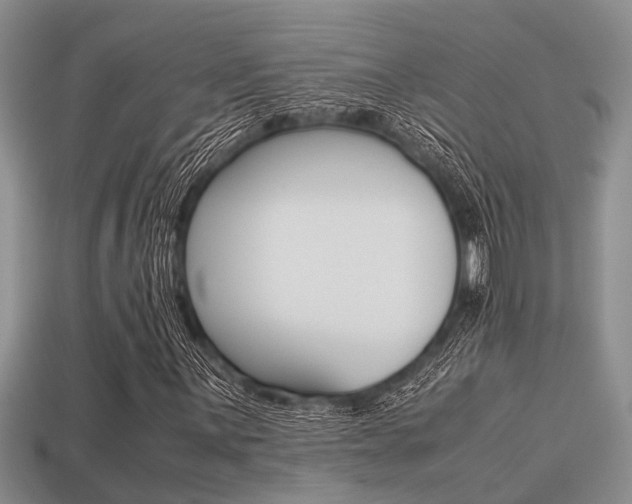 X0000113221059200909100917
