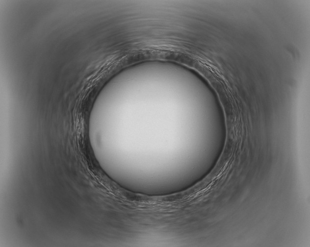 X0000113221061200909100917