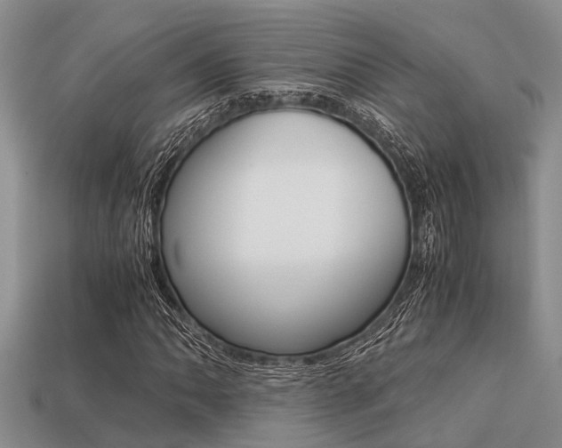 X0000113221062200909100917