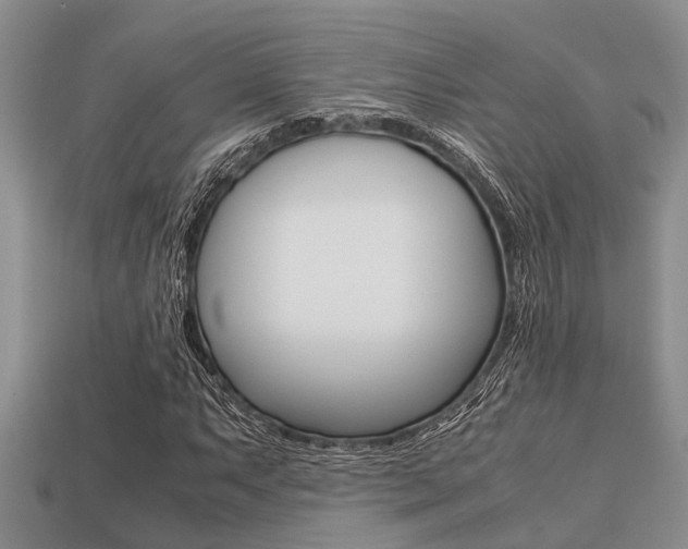 X0000113221063200909100917