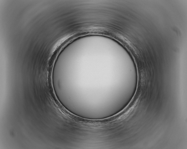X0000113221066200909100917