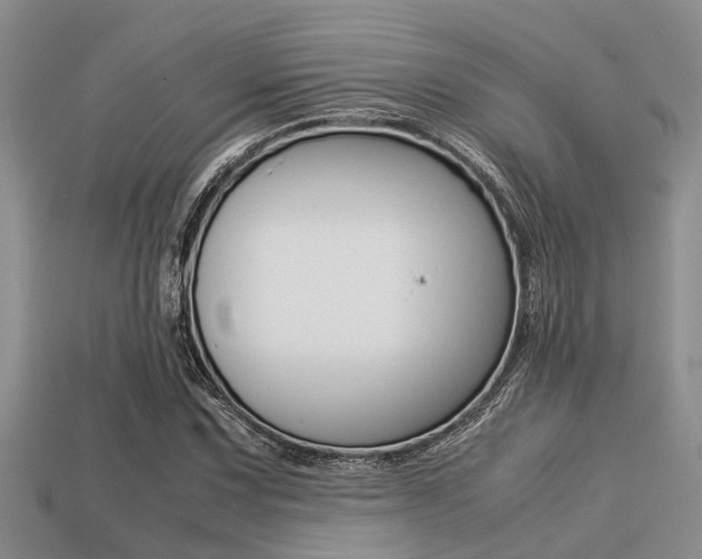 X0000113221067200909100917
