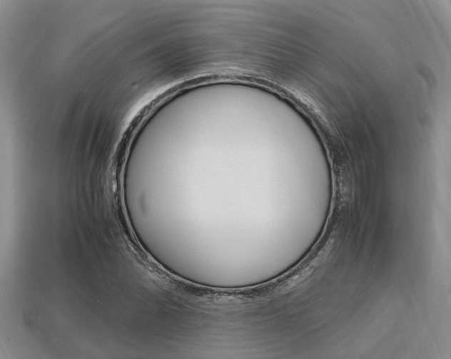 X0000113221070200909100917