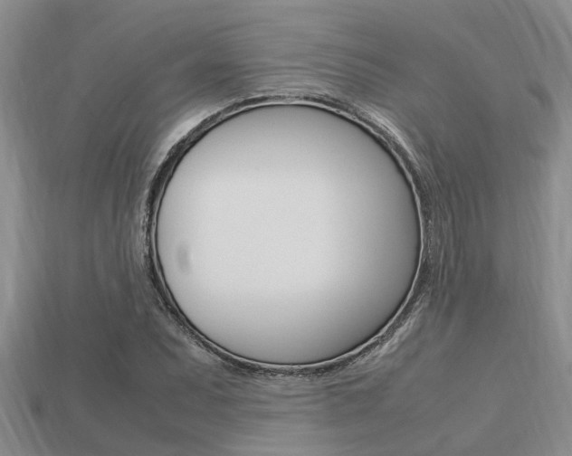 X0000113221071200909100917