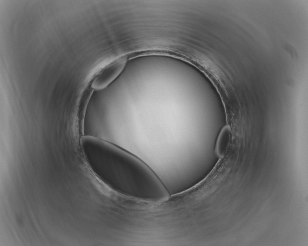 X0000113221072200909100917