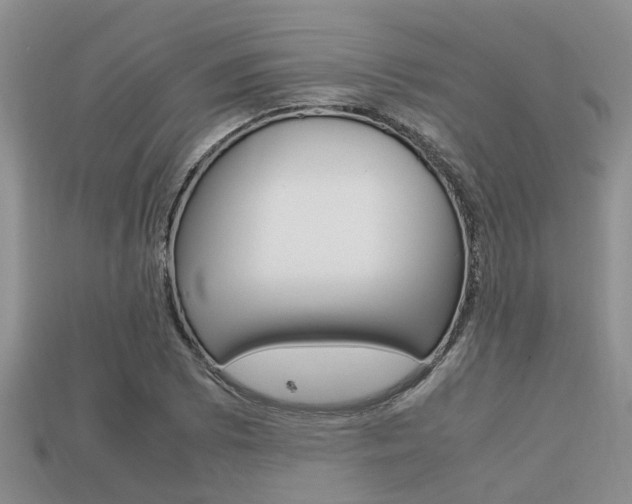 X0000113221073200909100917