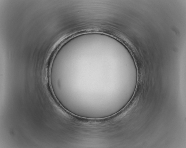 X0000113221075200909100917