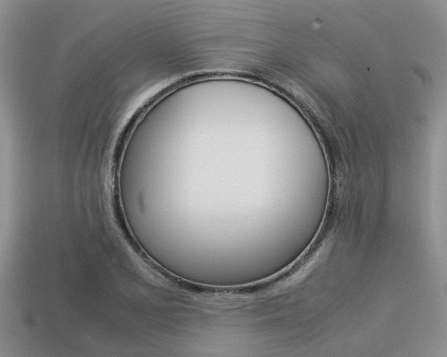 X0000113221077200909100917