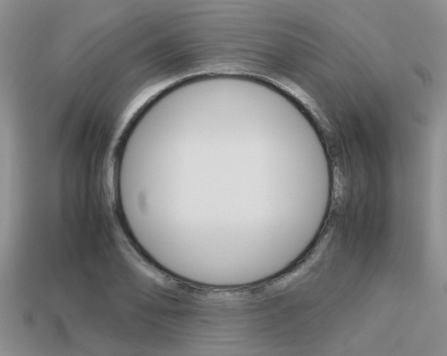 X0000113221078200909100917