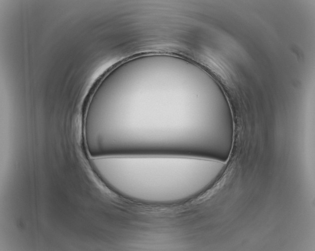X0000113221079200909100917
