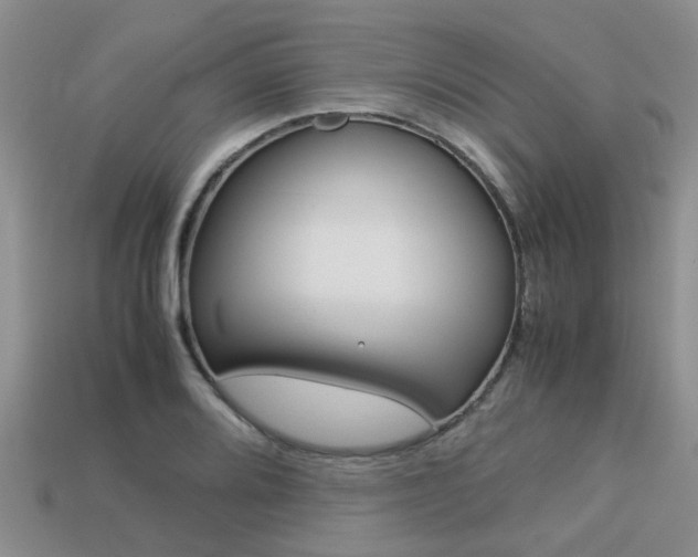 X0000113221080200909100917