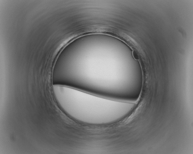 X0000113221081200909100917