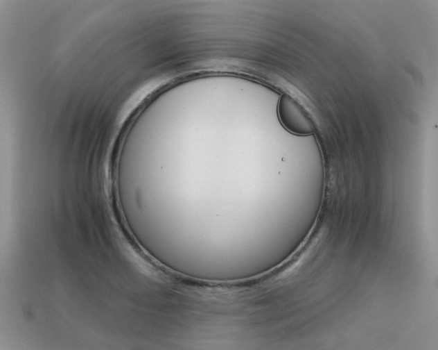 X0000113221082200909100917