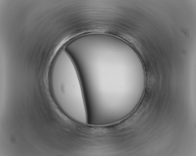 X0000113221083200909100917