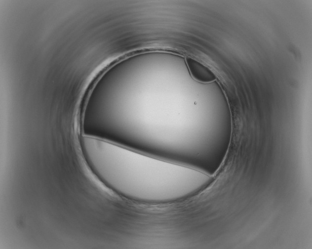 X0000113221084200909100917
