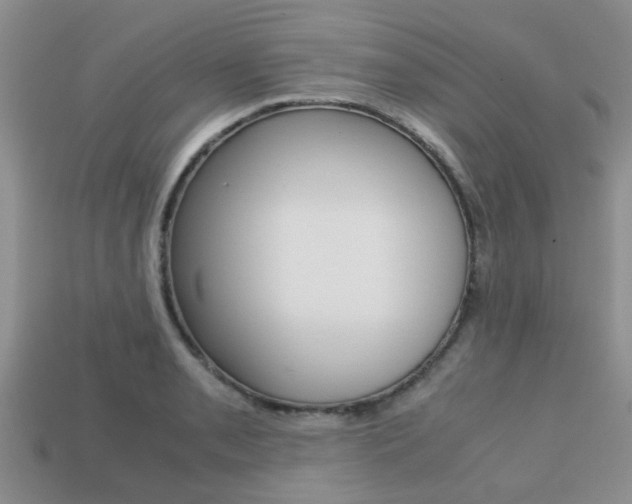 X0000113221085200909100917