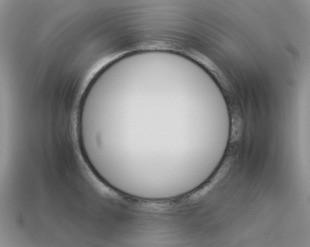 X0000113221086200909100917