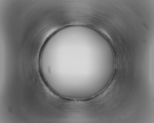 X0000113221087200909100917