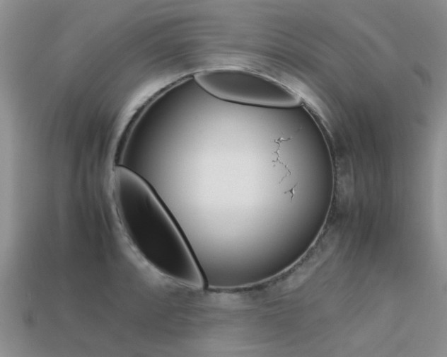 X0000113221088200909100917