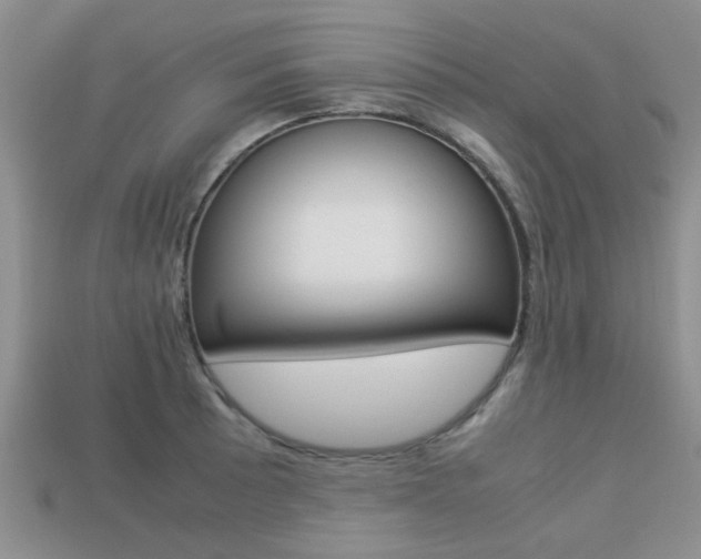 X0000113221089200909100917