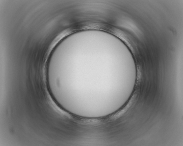 X0000113221090200909100917