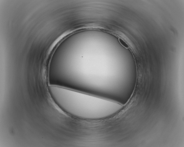 X0000113221092200909100917