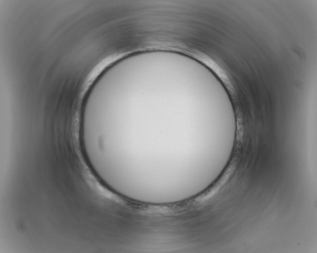 X0000113221094200909100917
