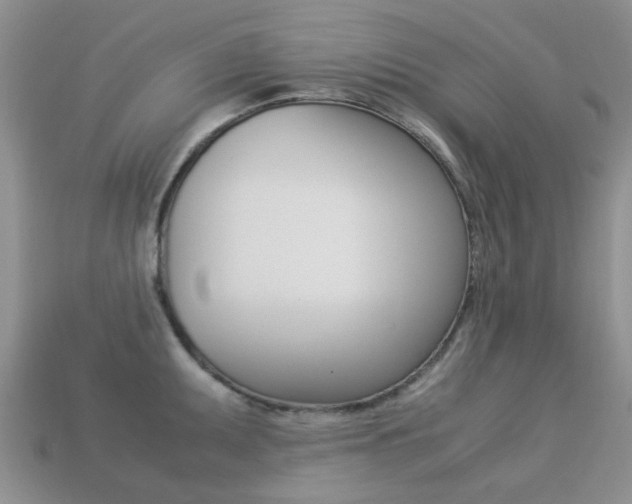 X0000113221095200909100917