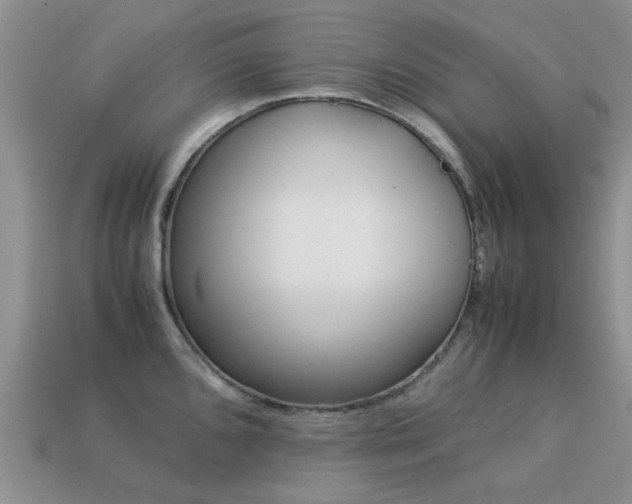 X0000113221096200909100917