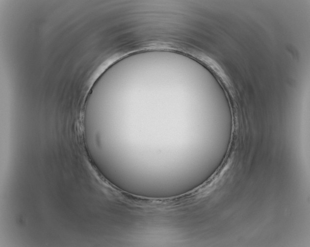 X0000113221097200909100917