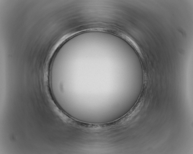 X0000113221099200909100917