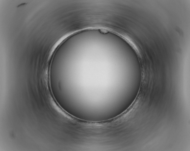 X0000113221100200909100917
