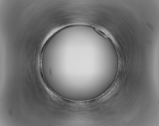 X0000113221101200909100917