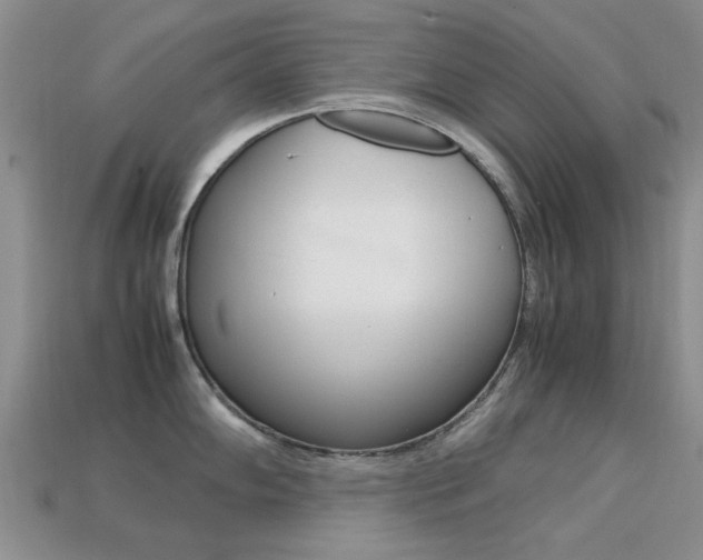 X0000113221102200909100917