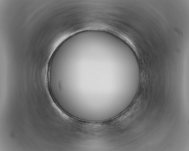 X0000113221103200909100917