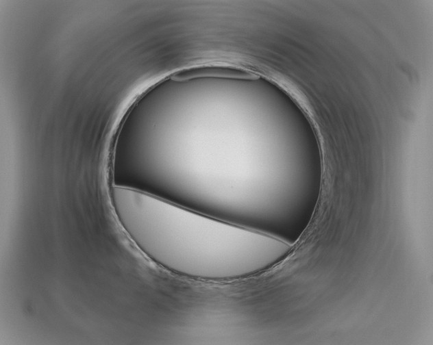 X0000113221104200909100917