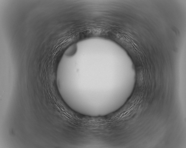 X0000113221105200909100916