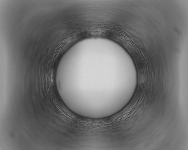 X0000113221106200909100916