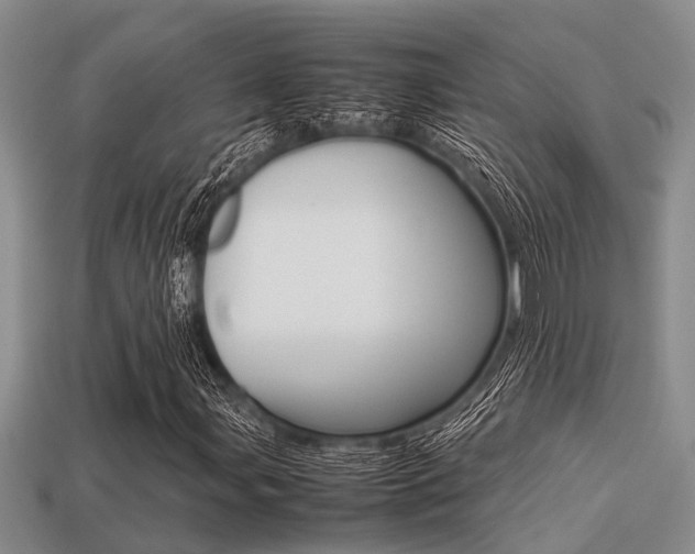 X0000113221107200909100916