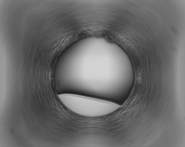 X0000113221108200909100916