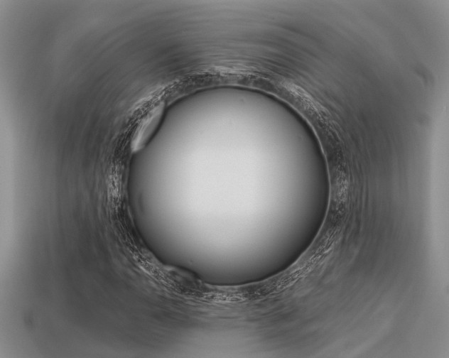 X0000113221110200909100916