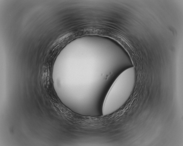 X0000113221111200909100916
