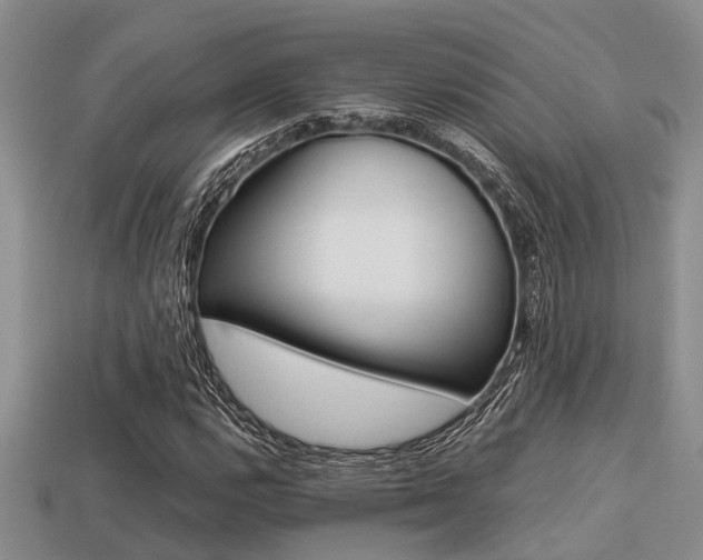 X0000113221112200909100916
