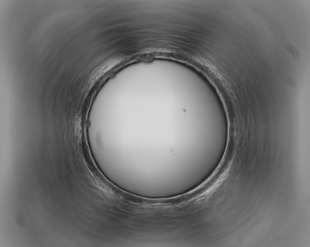 X0000113221113200909100916