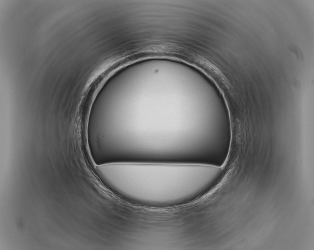 X0000113221114200909100916
