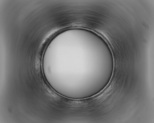 X0000113221115200909100916