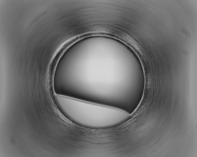 X0000113221116200909100916