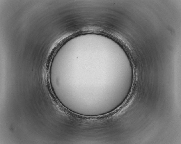 X0000113221117200909100916